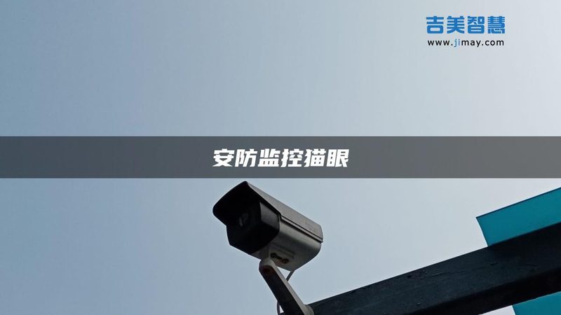电子巡更棒：守护安防的默默守护者**